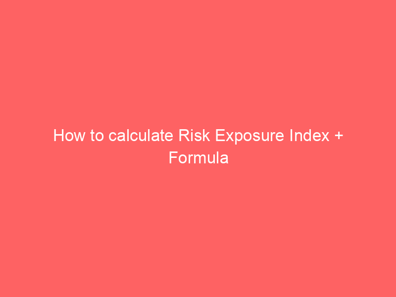 How to calculate Risk Exposure Index + Formula